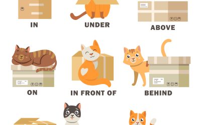 A1- Prepositions of place