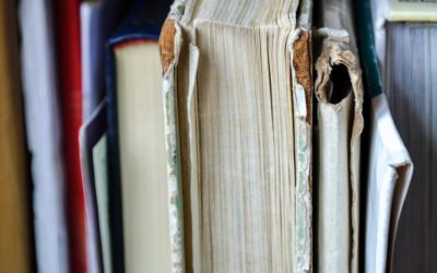 MythBusters: Separating Fact from Fiction in English Learning