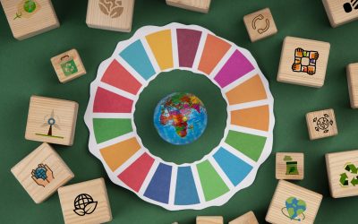 SDGs Deconstucted: Thrive Don’t Deprive