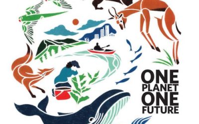 Biodiversity heroes: Taking care of the environment