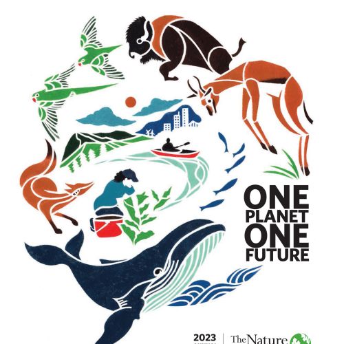 Biodiversity heroes: Taking care of the environment