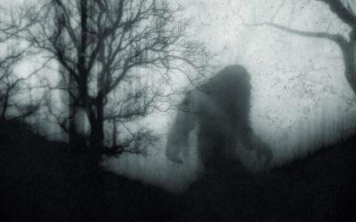 CONFIDENTIAL FILES: Cryptids