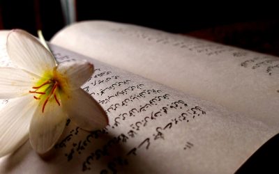 Haiku: Three lines. One breath.